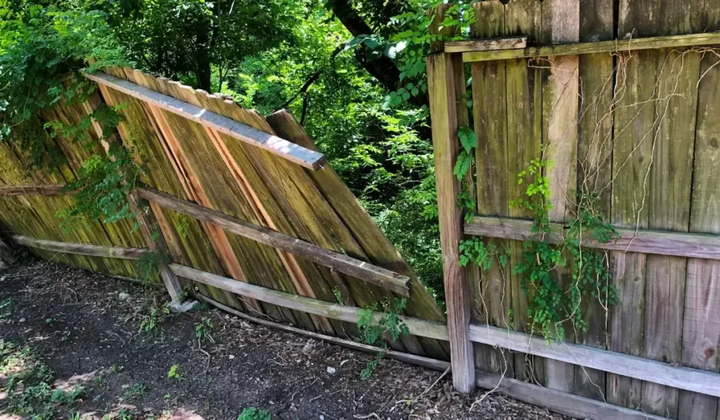 yard fence repair